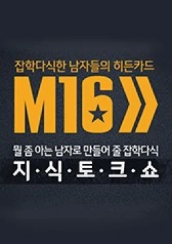 M16