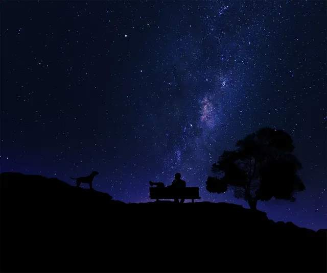 Dog Star TV