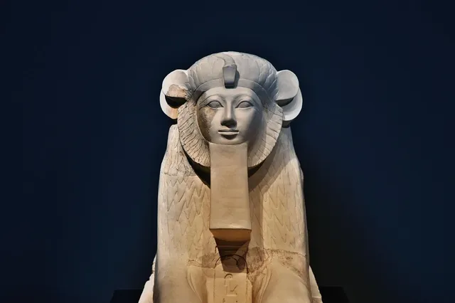 Art Museum by the Zoo