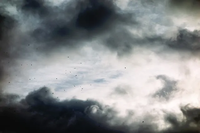 Ashes Of Time Redux