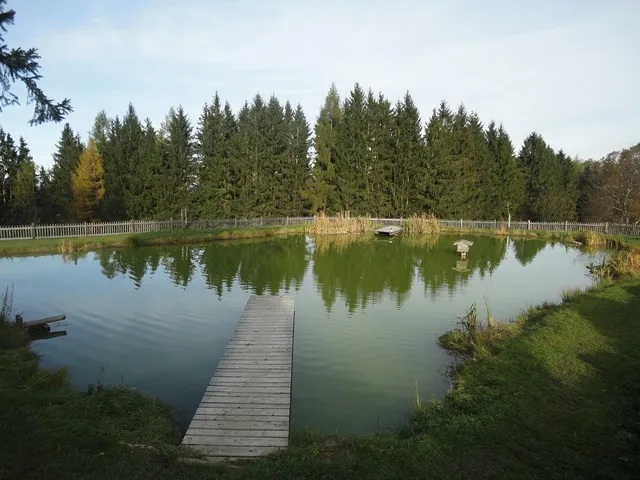 Still the Water