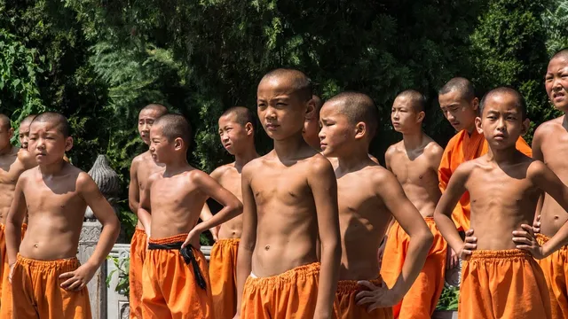 The Kung Fu Cult Master
